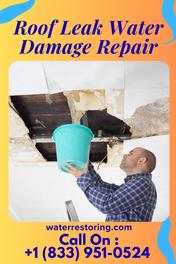 Roof Leak Water Damage Repair in Bradenton Beach, FL